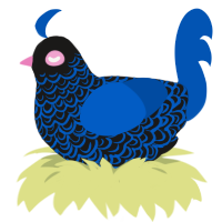 (unnamed), a sable and ultramarine chicken with a double-lace pattern