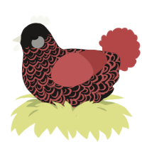 A sable and red chicken with a double-lace pattern