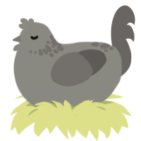 A ash and grey chicken with a neck-speckle pattern
