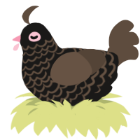 Toffee, a sable and bark chicken with a lace pattern