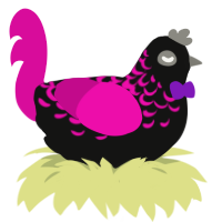 A black and fuchsia chicken with a half-lace pattern