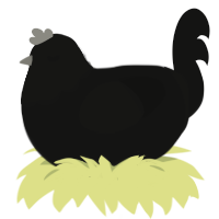 The Phantom Poulet, a black chicken with a head pattern
