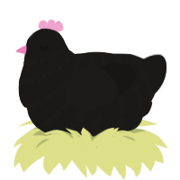 A sable chicken with a bar pattern