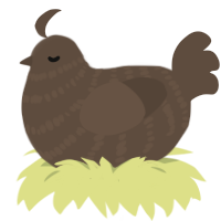 Tree stump, a bark chicken with a bar pattern