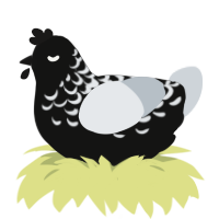 Hour, a black and mist chicken with a half-lace pattern