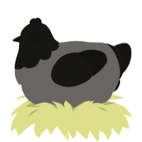 A grey and black chicken with a head pattern