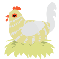 A navy and sable chicken with a bar pattern