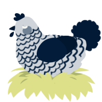 A mist and tumblr chicken with a lace pattern