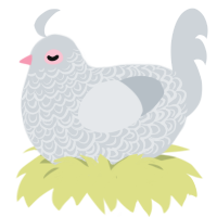 peabody, a mist chicken with a double-lace pattern
