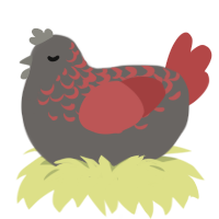 graphite, a grey and red chicken with a half-lace pattern