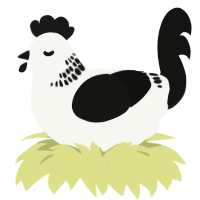 A white and black chicken with a neck-band pattern