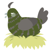 A olive and grey chicken with a bar pattern