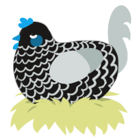 A sable and silver chicken with a lace pattern