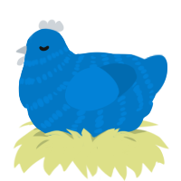 A sapphire chicken with a bar pattern