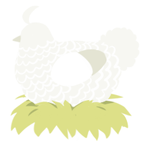 Snow, a white chicken with a lace pattern
