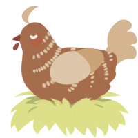 Cherry Chai, a brown and beige chicken with a half-bar pattern