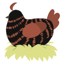 A black and russet chicken with a bar pattern