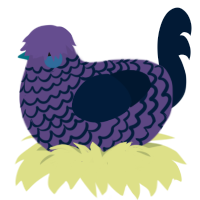 Racecar, a overcast and tumblr chicken with a lace pattern