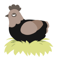 Dragos, a black and brown chicken with a head pattern