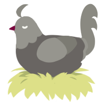 Pidgeon, a grey and ash chicken with a head pattern