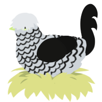 Piano Keys, a mist and black chicken with a lace pattern