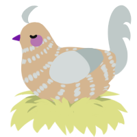 (unnamed), a beige and silver chicken with a bar pattern