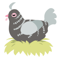 PIDGEON, a grey and silver chicken with a half-bar pattern