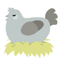 Soot, a silver and ash chicken