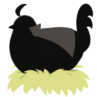 Memory, a black chicken