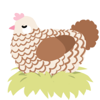 hot chocolate, a cream and brown chicken with a lace pattern