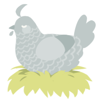 An Extra Tip Jar, a silver chicken with a lace pattern