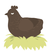 A bark chicken with a half-lace pattern