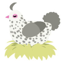 A white and ash chicken with a speckle pattern