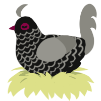 A black and ash chicken with a lace pattern