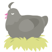 (unnamed), a ash chicken with a head pattern