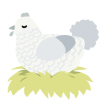 A white and mist chicken with a lace pattern