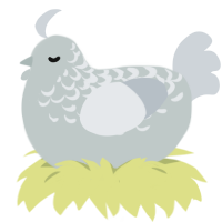 stone, a silver and mist chicken with a half-lace pattern