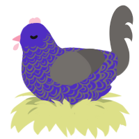 Banhammer Jr, a indigo and grey chicken with a double-lace pattern