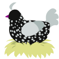 A black and silver chicken with a speckle pattern