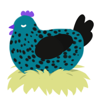 (unnamed), a sea and black chicken with a speckle pattern