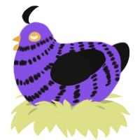 Riley, a blurple and black chicken with a bar pattern