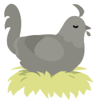 Andesite, a ash chicken with a head pattern