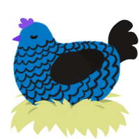 A sapphire and sable chicken with a lace pattern