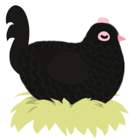 A black and sable chicken with a lace pattern