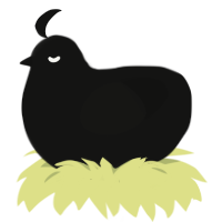 A black chicken