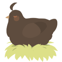 Choccy Milk, a bark chicken