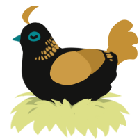 turpial, a black and gold chicken with a neck-band pattern