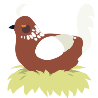 Gene, a russet and white chicken with a neck-speckle pattern