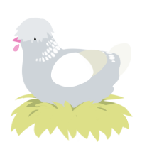 (unnamed), a mist and white chicken with a neck-band pattern