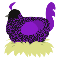 Sigil, a black and violet chicken with a double-lace pattern